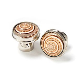 Sundial Shell Cabinet Knob